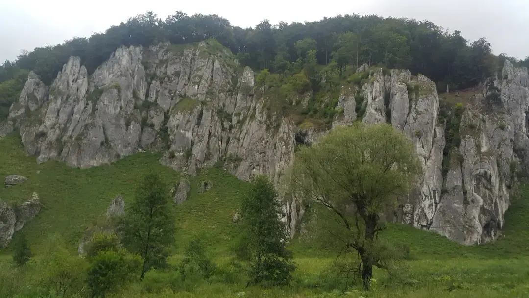 Anul Calului de Foc începe cu Sezonul Eclipsei Rare
