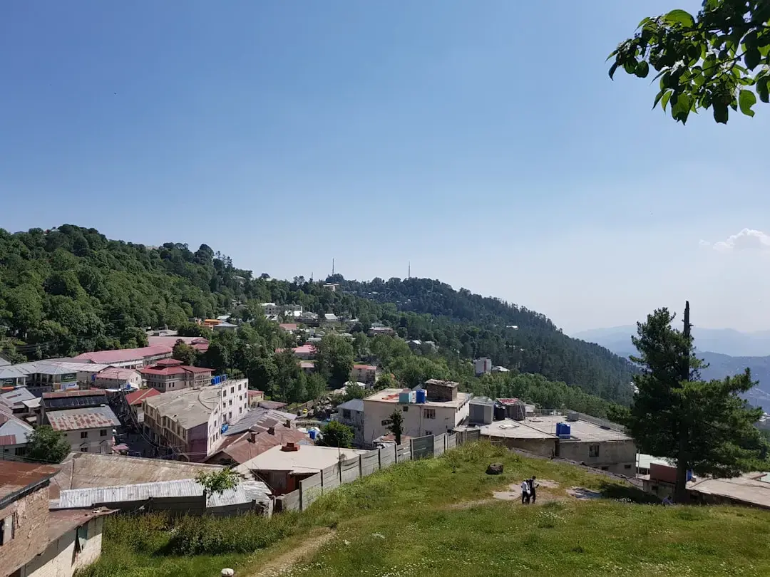 Horoscop Taur iulie 2026: Dragoste, Carieră și Sănătate