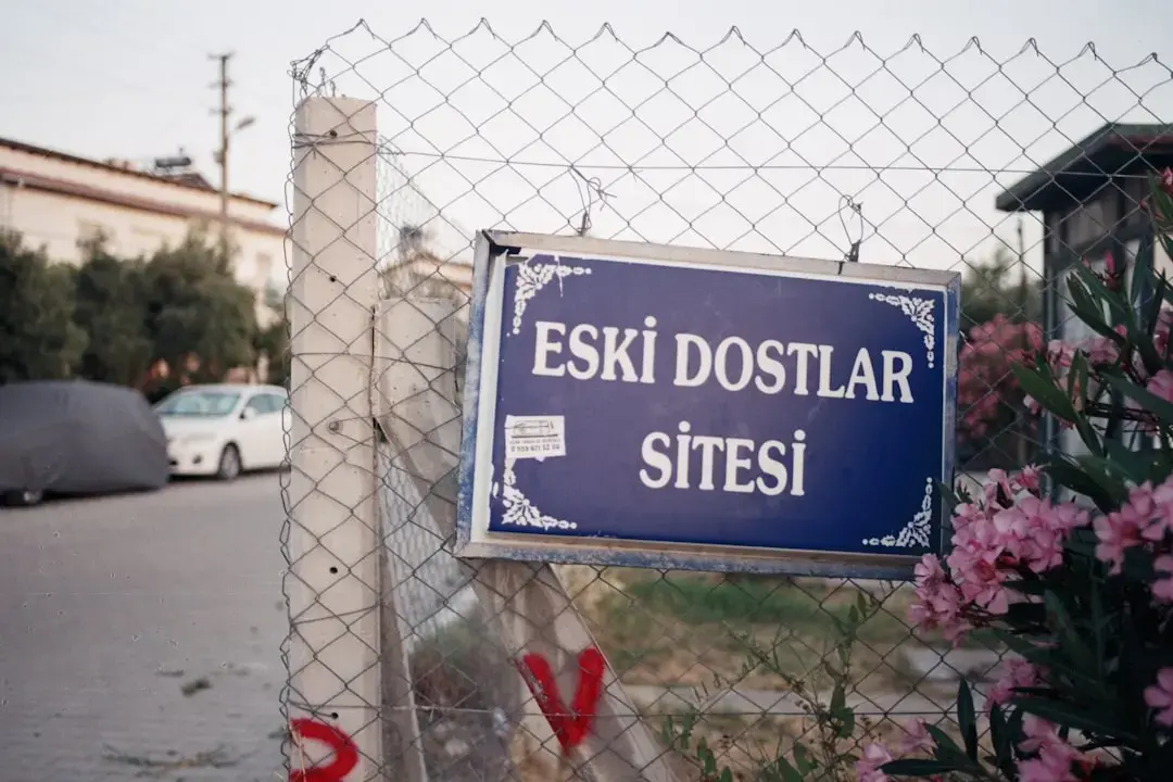 Peştii sunt pregătiţi pentru săptămâna stelară