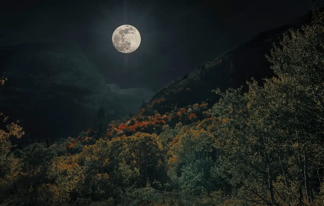 Horoscopul lunii septembrie 2026 pentru Taur – Ce îți rezervă astrele